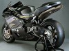  MV Agusta F4 Veltro Pista    eBay