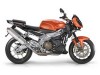   Aprilia Tuono 1000R 2008